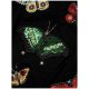 Alice Olivia Ciara Butterfly Embroidered Sweater